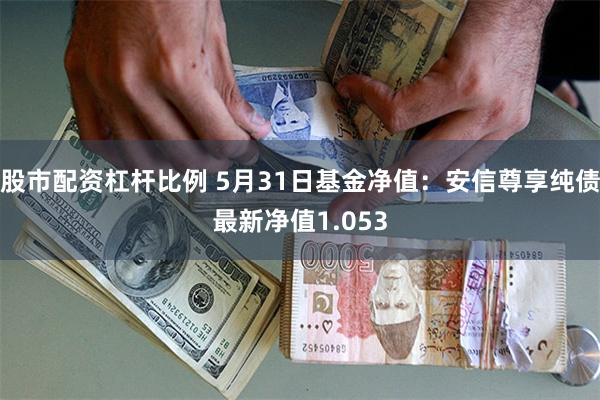 股市配资杠杆比例 5月31日基金净值：安信尊享纯债最新净值1.053