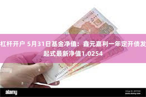 杠杆开户 5月31日基金净值：鑫元嘉利一年定开债发起式最新净值1.0254