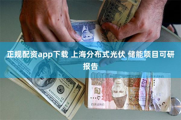 正规配资app下载 上海分布式光伏 储能项目可研报告